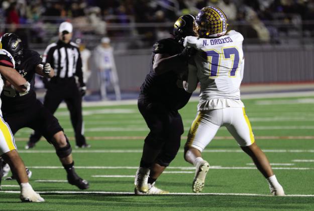 SPOTLIGHT ON BOLD GOLD WIN VS SUNRAY