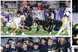 SPOTLIGHT ON BOLD GOLD WIN VS SUNRAY