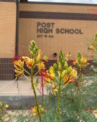 Post ISD board sets tax rate at $1.1583