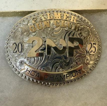 Buckles awarded to the winners of each division.