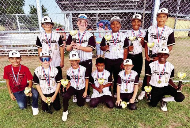 11/12 BASEBALL Back Row: Aidan Castro, Cooper Britton, Michael Martinez, Leslie White III, and Juan Gomez. Front Row: Salador Rodriguez, Rody Howard, Jorge Torres, Rafeal Trinidad, Levi Walkup, and Jkayden Woodard. | COURTESY PHOTO