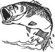 Area Fishing Report