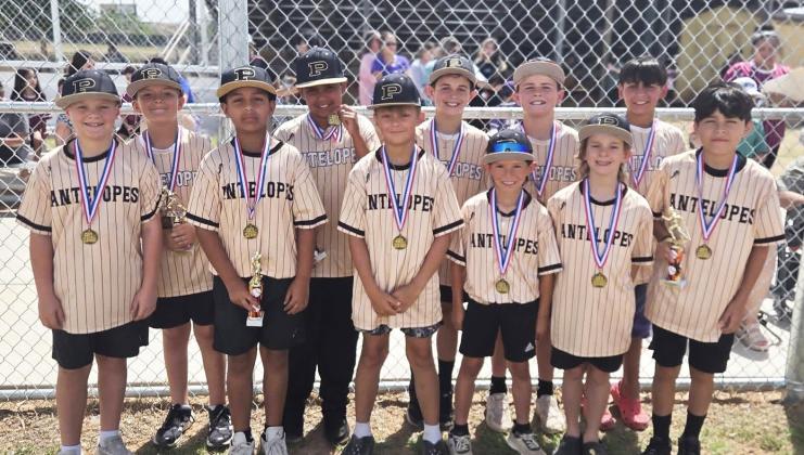 Post Little League announces 2026 All-Star teams