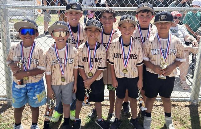 Post Little League announces 2026 All-Star teams
