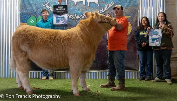 GRAND CHAMPION EXOTIC STEER CAMERON MENCHACA