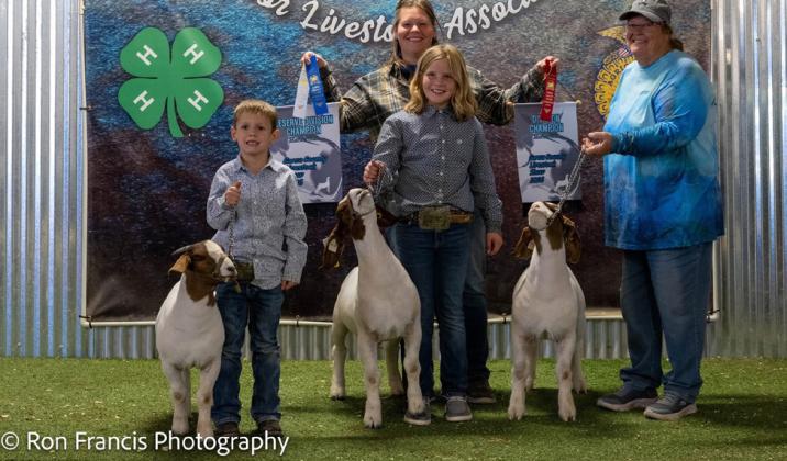 BREED CHAMPION MEDIUM GOAT MORGAN TADLOCK