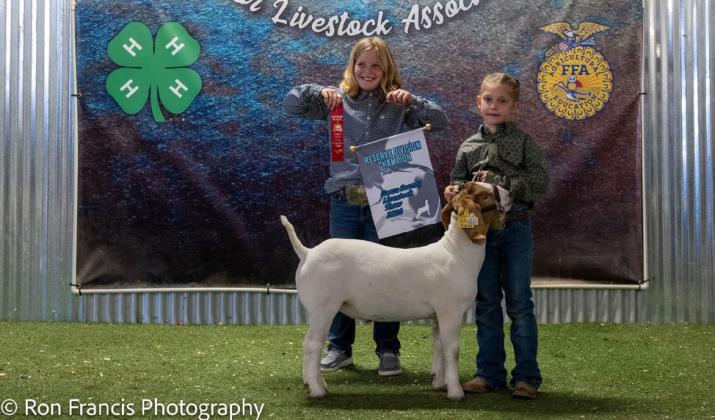 RESERVE BREED CHAMPION HEAVY-LIGHT GOAT ZOEE RA