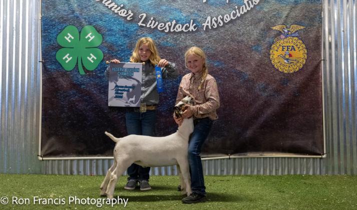 RESERVE BREED CHAMPION MEDIUM GOAT SARAH TADLOCK