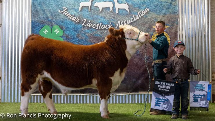 RESERVE GRAND CHAMPION ENGLISH STEER KYE BAKER