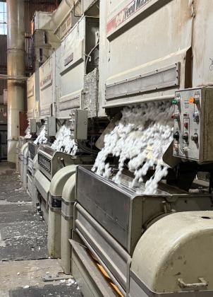 West Texas cotton: high quality, low prices challenge local producers
