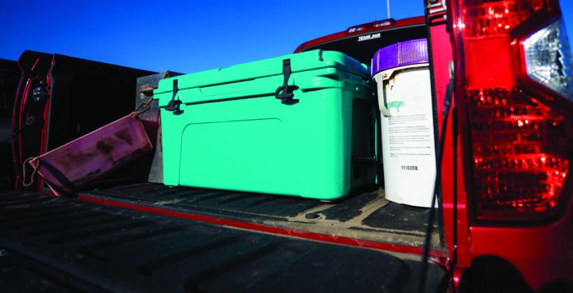 Experts advise not to leave valuable items in the pickup bed as stock show season soon begins. Texas A&amp;amp;M AgriLife photo by Sam Craft