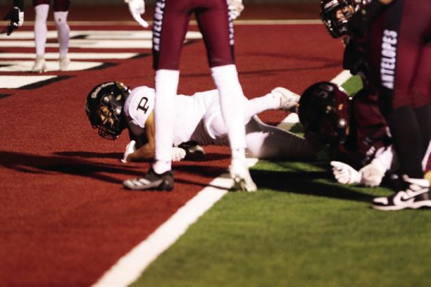 SPOTLIGHT ON BOLD GOLD DISTRICT CHAMPS