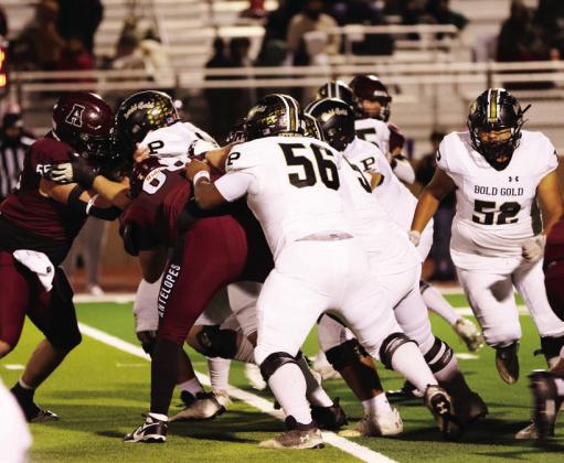 SPOTLIGHT ON BOLD GOLD DISTRICT CHAMPS