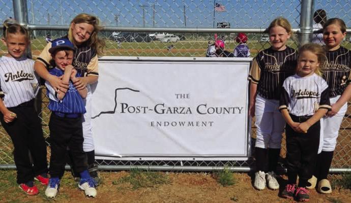 Post-Garza County Endowment opens grant application process