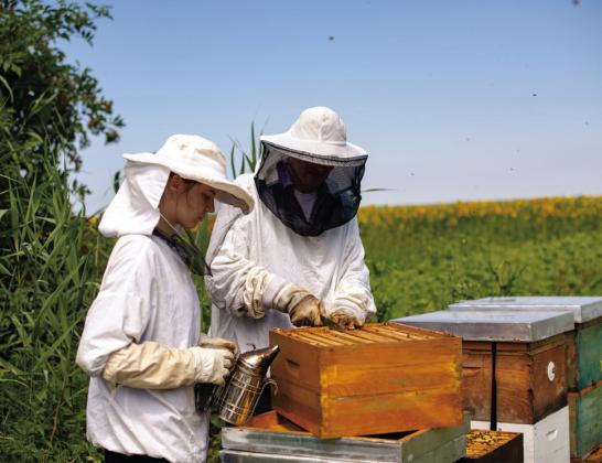 Central Texas Beekeepers School now accepting students