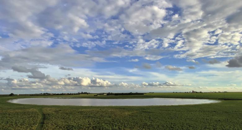 Cotton/water stewardship Playa Day to be held May 16 at Unity Center in Muncy