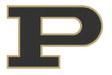 Bold Gold and Lady Lopes impress at Double Mountain Classic