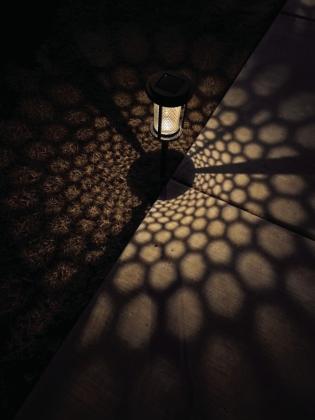 4-H District 2 Photography Contest Results