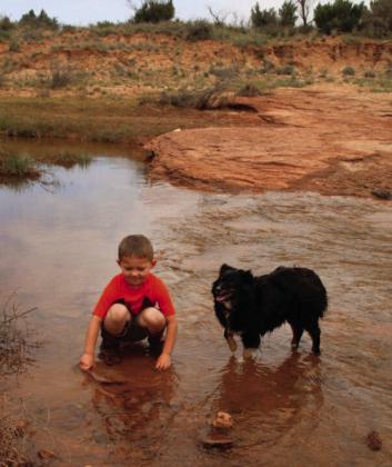 4-H District 2 Photography Contest Results