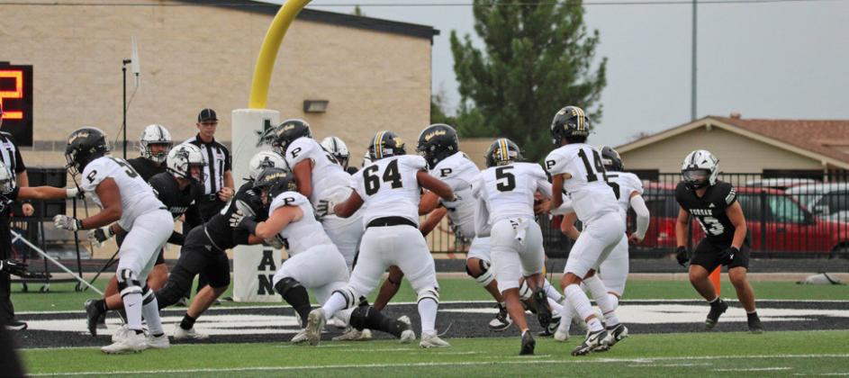 Antelopes dominate Buffaloes 64-6
