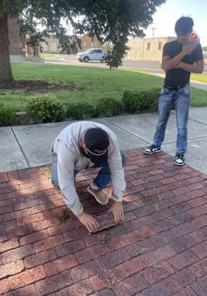 SPOTLIGHT ON PACC BRICK LAYING