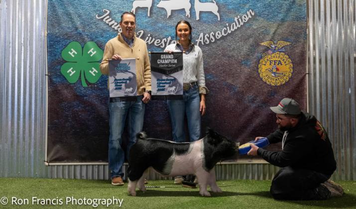 BREED CHAMPION CROSS SWINE REESE HUFFAKER