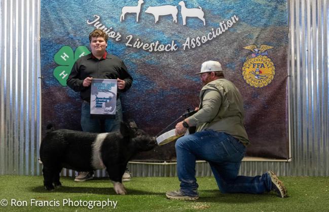 RESERVE BREED HAMP SWINE ZACHARY GAYDOS