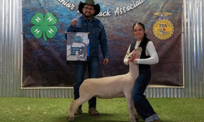 BREED CHAMPION SOUTHDOWN LAMB ADDYSON VALDEZ