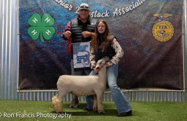 RESERVE BREED SOUTHDOWN LAMB ABIGAIL ELLE