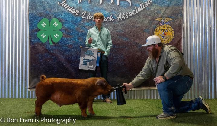 BREED CHAMPION DUROC SWINE OAKLEY CASH-STRAWM