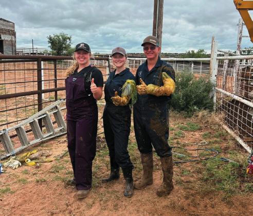 ANIMAL NATUREA&amp;M interns get onthe-job training at Garza Vet Clinic