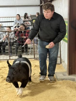 Congratulations to these young exhibitors for their achievements this year