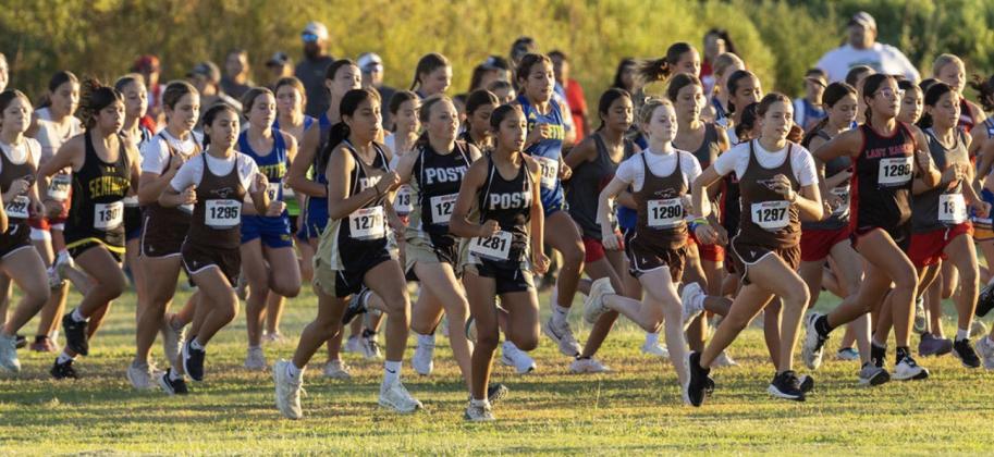 CROSS COUNTRY COMPETITION Post Lady Lopes runners competed at the Hamlin Invitational, where the Bold Gold and Lady Lopes varsity and JV cross country teams faced competitors from Class 3A Division I through Class 1A Division II. | SOFIA MORENO