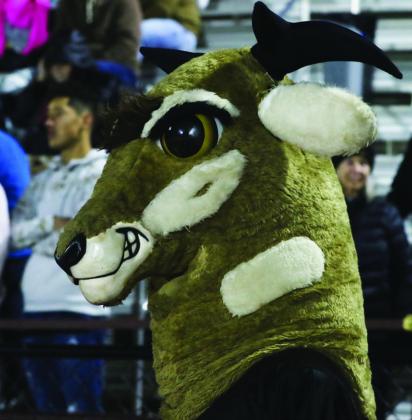 Antelopes Outrun Lynx to a 42-33 Victory