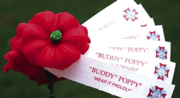 Poppys and Veteran’s Day