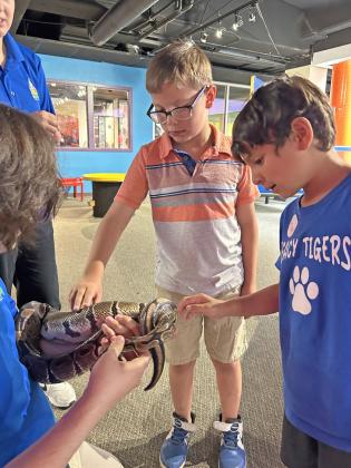 SPOTLIGHT ON SUMMER FUN