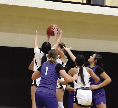 Lady Lopes fall to Winters 52-45