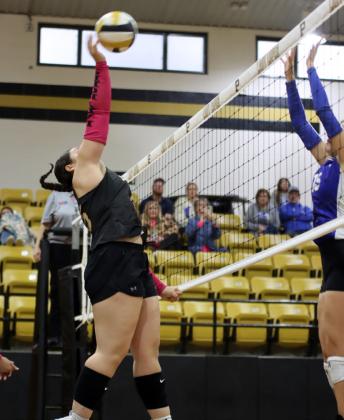 Five Lady Lopes earn All-District volleyball honors
