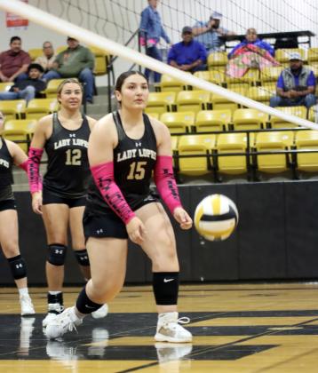 Five Lady Lopes earn All-District volleyball honors