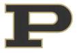 Five Lady Lopes earn All-District volleyball honors