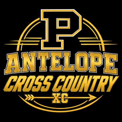 Bold Gold, Lady Lopes cross country teams compete in Plain
