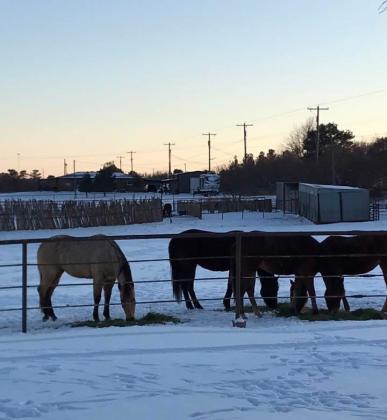 SPOTLIGHT ON POST IN SNOW