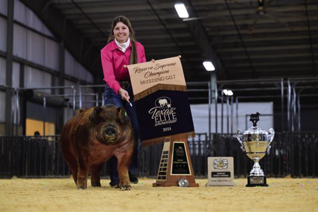 SOUTHLAND HONORS Southland ISD Senior Sylee Peterson, a member of the Garza County 4-H, recently won the 2024 Reserve Supreme Champion Breeding Gilt at the Texas Elite Showcase in Kerrville. | PHOTO PROVIDED