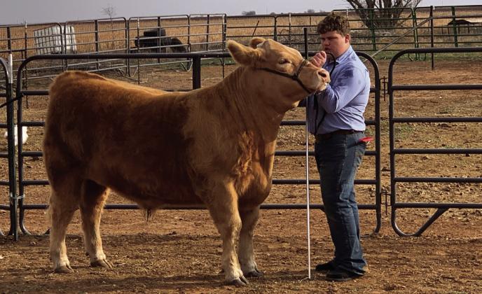 2025 SOUTHLAND JUNIOR LIVESTOCK SHOW RESULTS