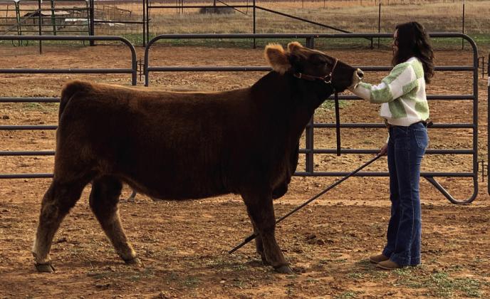 2025 SOUTHLAND JUNIOR LIVESTOCK SHOW RESULTS