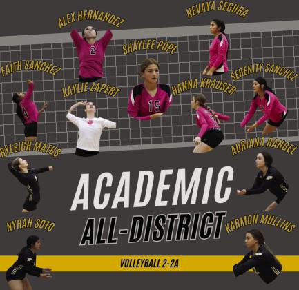 Volleyball honors