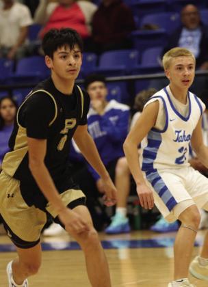 Bold Gold, Lady Lopes athletic year-end review