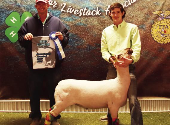 2025 POST JUNIOR LIVESTOCK SHOW RESULTS