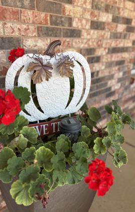 POST HOMES WELCOME FALL