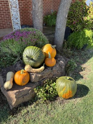 POST HOMES WELCOME FALL